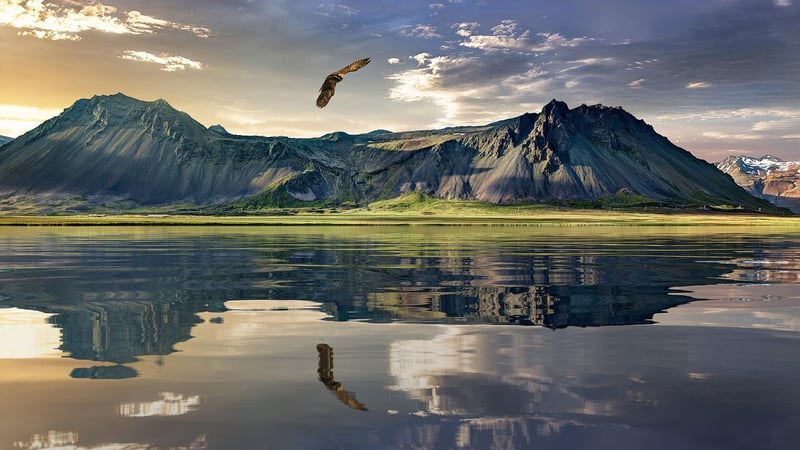 Untouched Wilderness